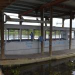 OTRA2014_1496 (September 03, 2014)